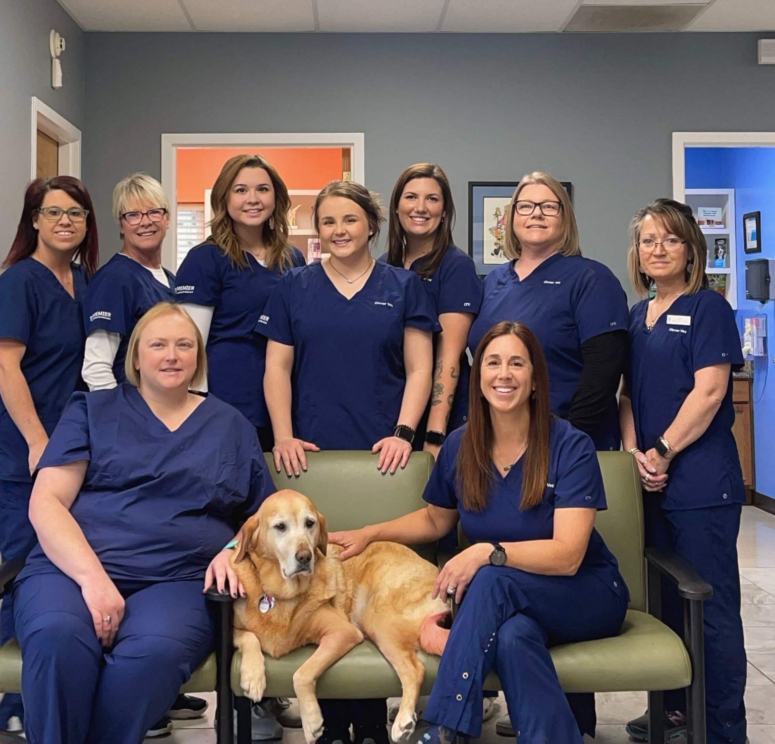 Veterinarian in Clover, SC | Clover Vet